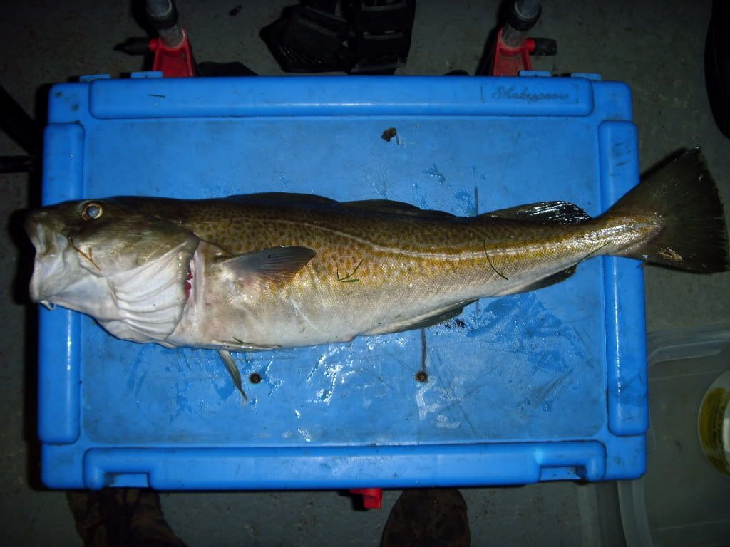 fishing015.jpg