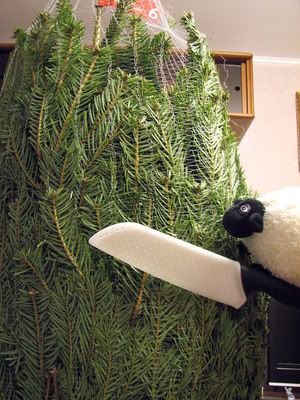 http://i1137.photobucket.com/albums/n505/dangerousebeans/Lucy/Lucy%20with%20fur-tree/15.jpg