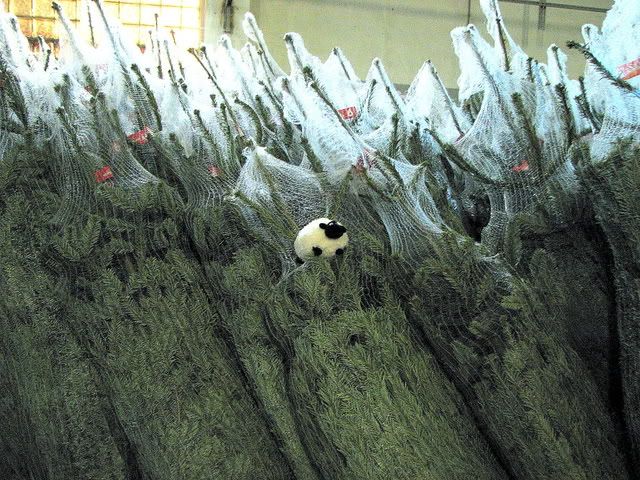 http://i1137.photobucket.com/albums/n505/dangerousebeans/Lucy/Lucy%20with%20fur-tree/5.jpg