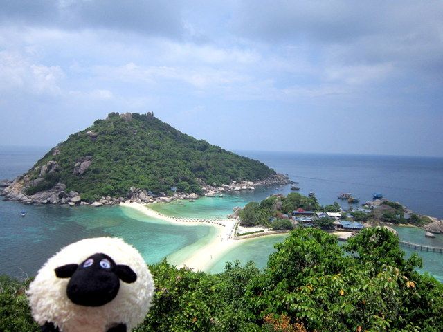 http://i1137.photobucket.com/albums/n505/dangerousebeans/Lucy/Thailand/First%20excursion/14.jpg