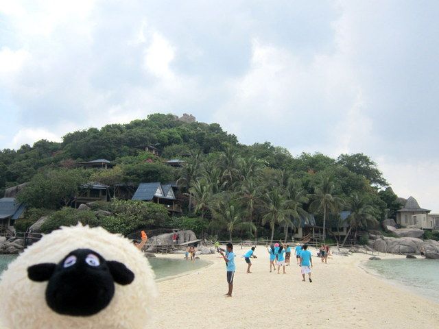 http://i1137.photobucket.com/albums/n505/dangerousebeans/Lucy/Thailand/First%20excursion/16.jpg