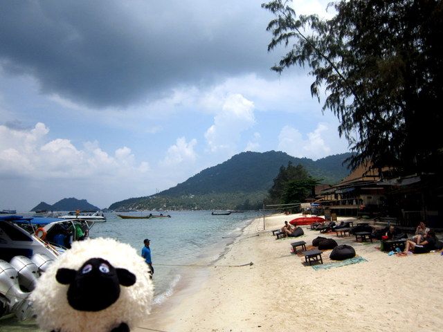 http://i1137.photobucket.com/albums/n505/dangerousebeans/Lucy/Thailand/First%20excursion/7.jpg