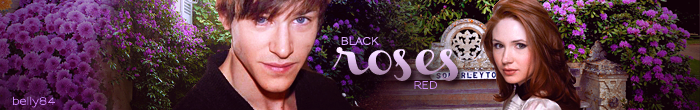 Black Roses Red Banner