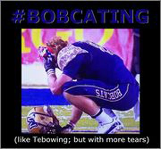 bobcatting2-1.jpg