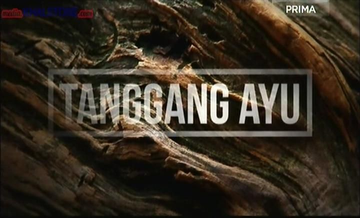 Tanggang Ayu (2013) SDTVRip Episod 01 – 28 (Completed)