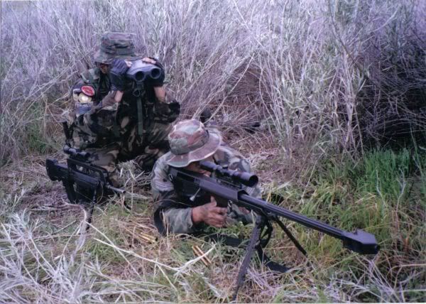 fuerzas armadas fuerzas armadas