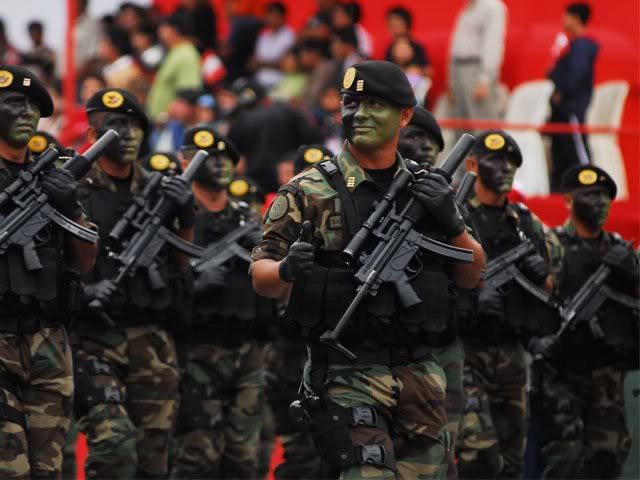 fuerzas armadas fuerzas armadas