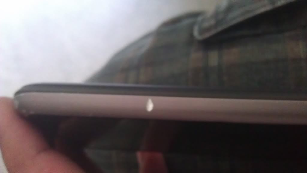 IMAG0088-2.jpg?t=1312216946