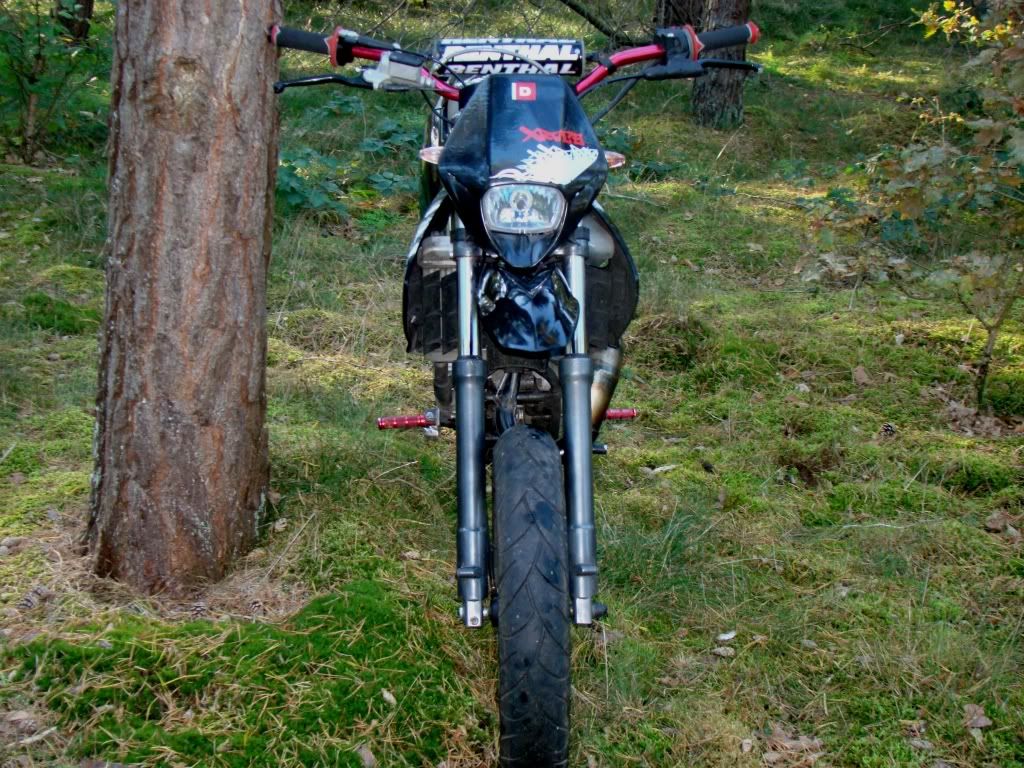 Afbeelding