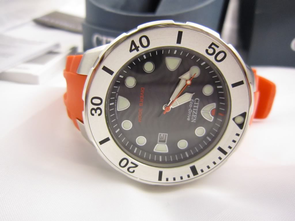 citizen 300 meter dive watch