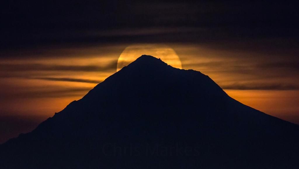 IMAGE: http://i1137.photobucket.com/albums/n515/markesc/New%20Canon%20100%20400%20L%20II/QM6A0480bII_zpsmvzt9ok1.jpg