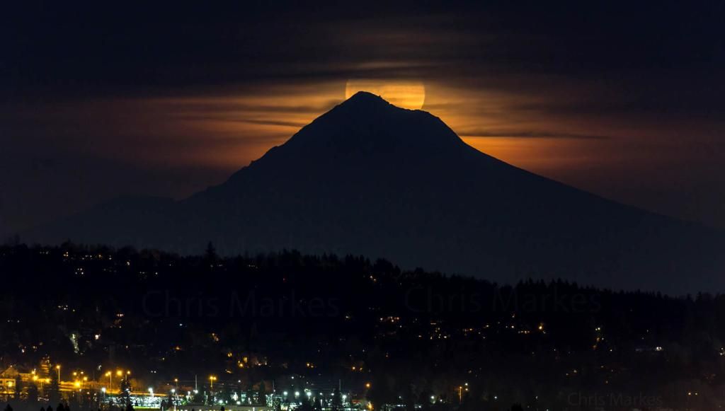 IMAGE: http://i1137.photobucket.com/albums/n515/markesc/New%20Canon%20100%20400%20L%20II/QM6A0482b_zps39r1kcrm.jpg