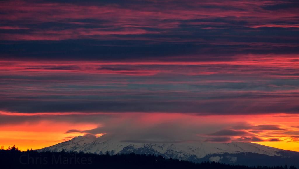 IMAGE: http://i1137.photobucket.com/albums/n515/markesc/New%20Canon%20100%20400%20L%20II/QM6A2985-3b_zpsg5kkeqrz.jpg