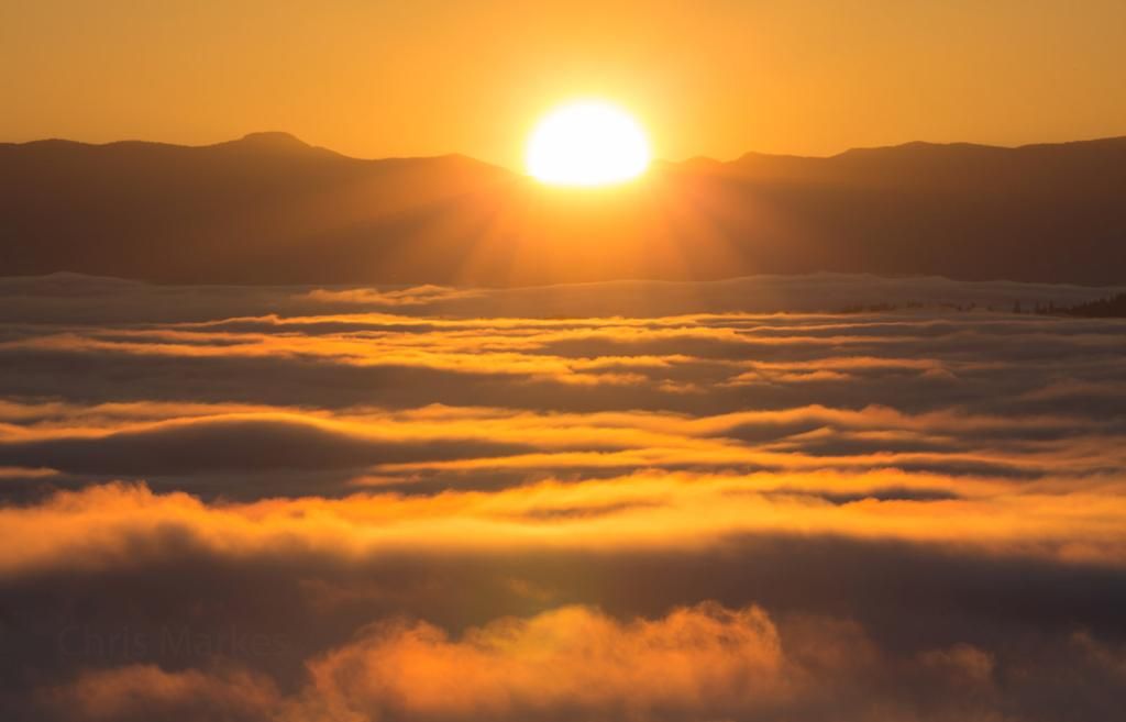 IMAGE: http://i1137.photobucket.com/albums/n515/markesc/New%20Canon%20100%20400%20L%20II/QM6A3700b_zpsnoiyz1lf.jpg