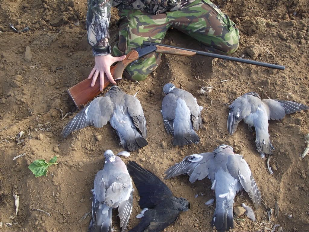 DSCF1209.jpg?t=1306071746