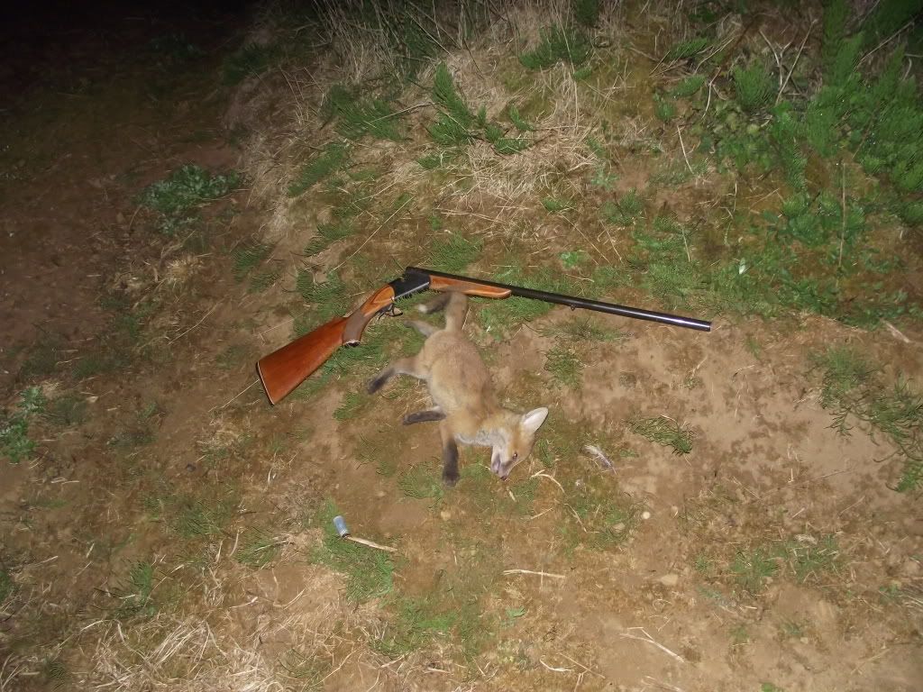 foxwihshotgun.jpg?t=1305466115