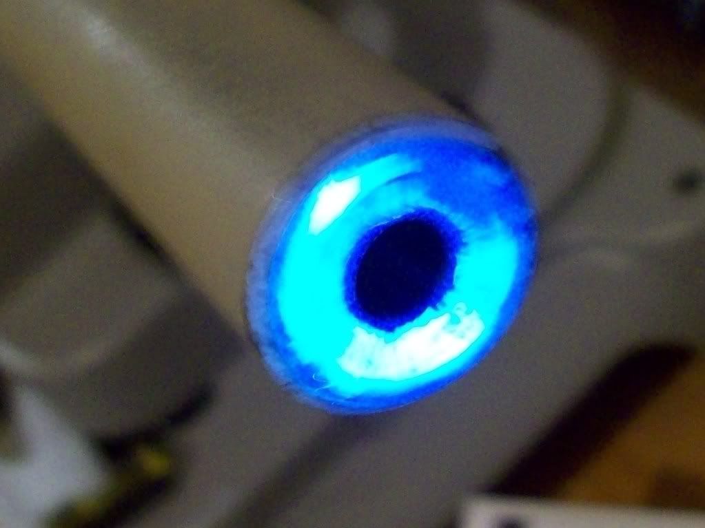 crown2.jpg