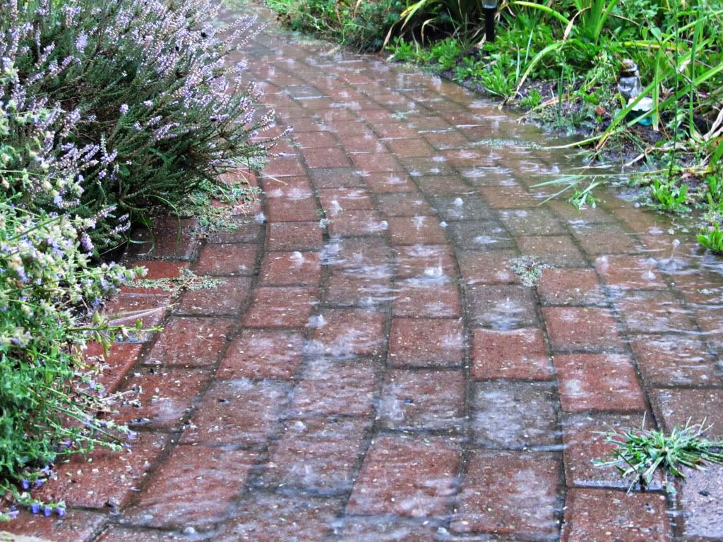 When It Rains