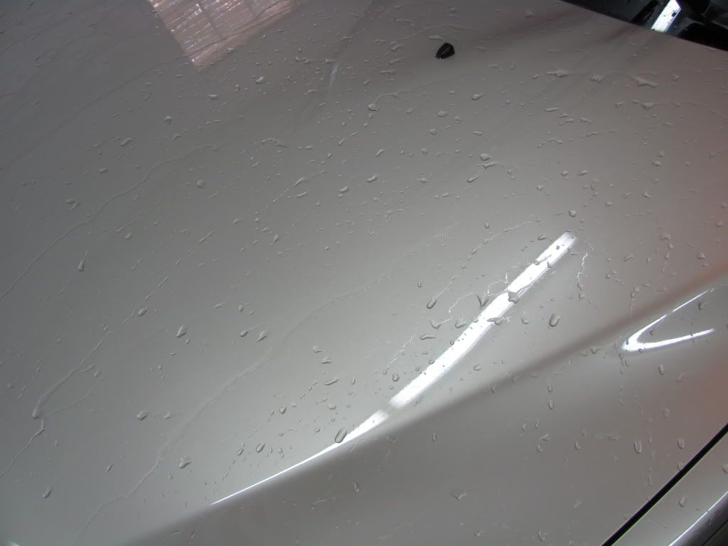 013-3.jpg