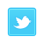 social media icons photo: Twitter TWITTERICON.png
