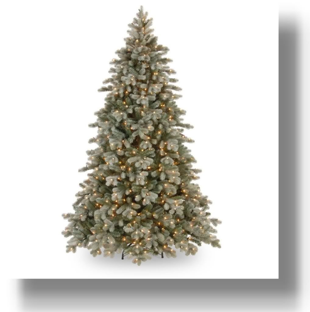 National Sapling PECSF1-300-75 Really feel Actual Frosted Co Fir 750 Obvious Lights