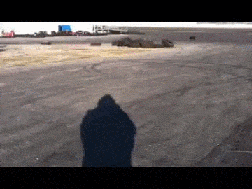 http://i1137.photobucket.com/albums/n519/whosyourdaddy1/vO8Zoo_zpscorrqprp.gif