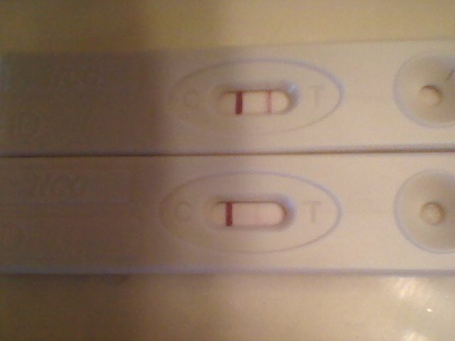 pregnancy just test took positive FRER* with from *update pregnancy brand assured test