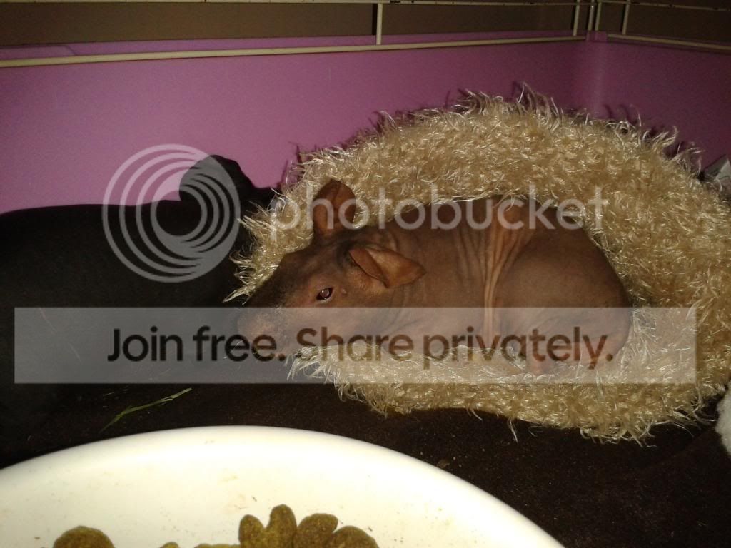 2013-01-16182115_zps14d3ff3e.jpg