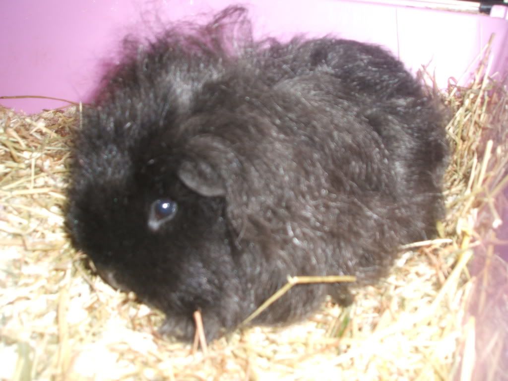 betty001.jpg