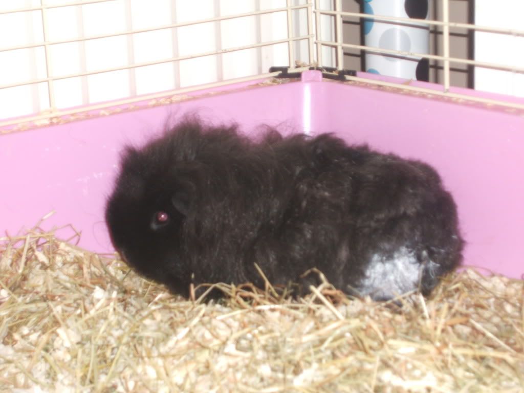 betty004.jpg