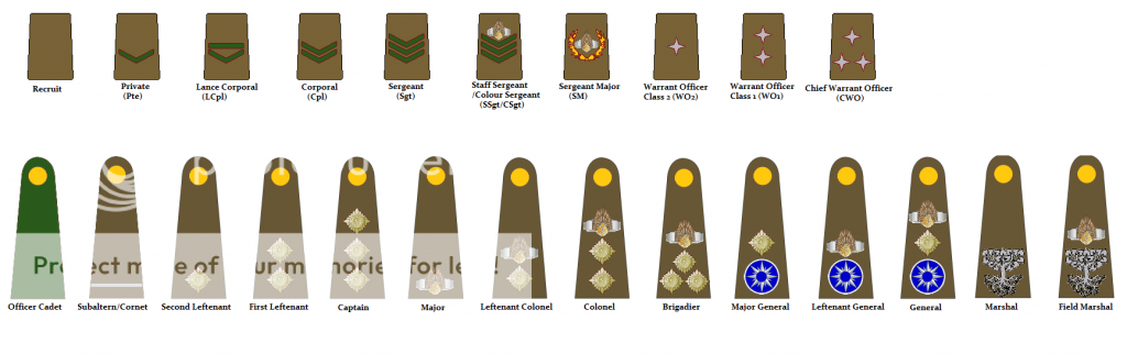 NationStates • View topic - NS infantry discussion thread. Mark II