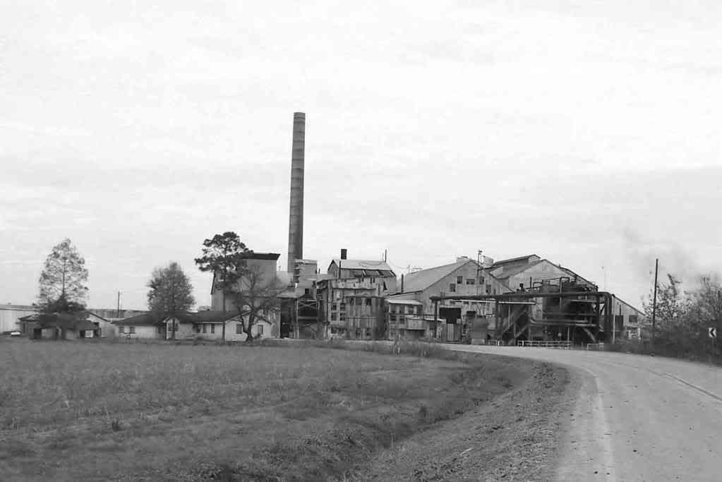 Singles in labadieville la Louisiana image collection, , Louisiana Research Collection