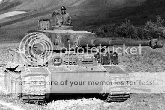 sturmtiger2_zpsavpwh23b.jpg